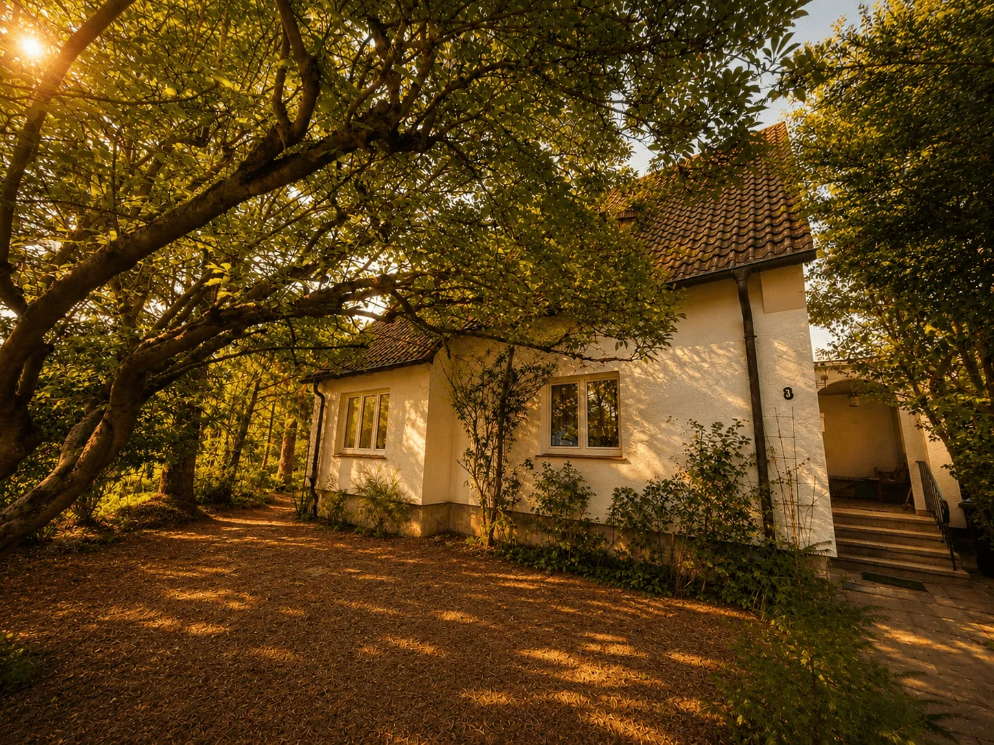 Hausansicht (Süd)