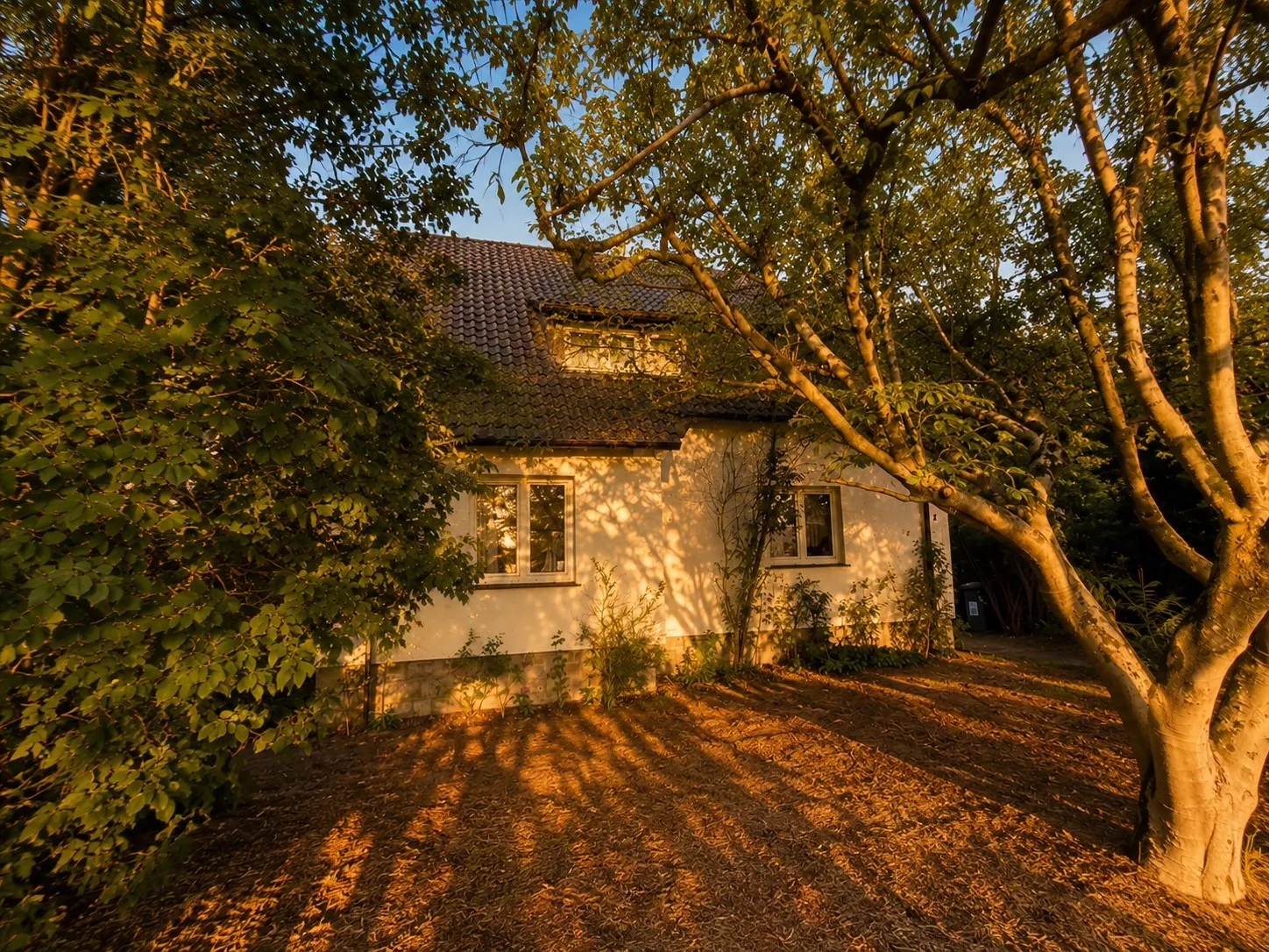 Hausansicht (Süd)